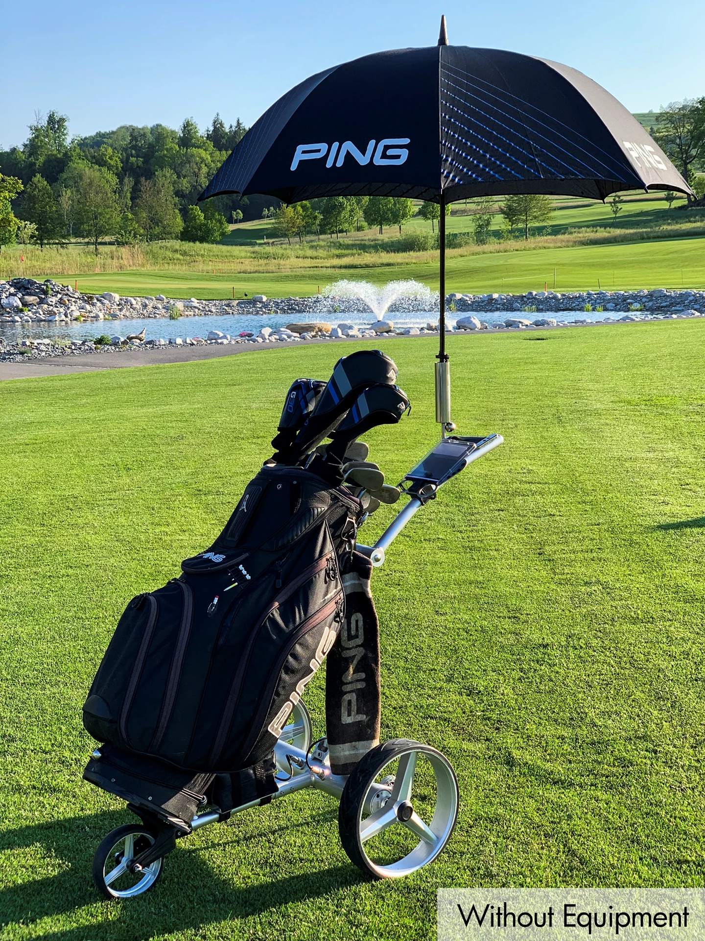 Carrello da golf elettrico con telecomando
