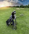 Carrello da golf elettrico Carbon