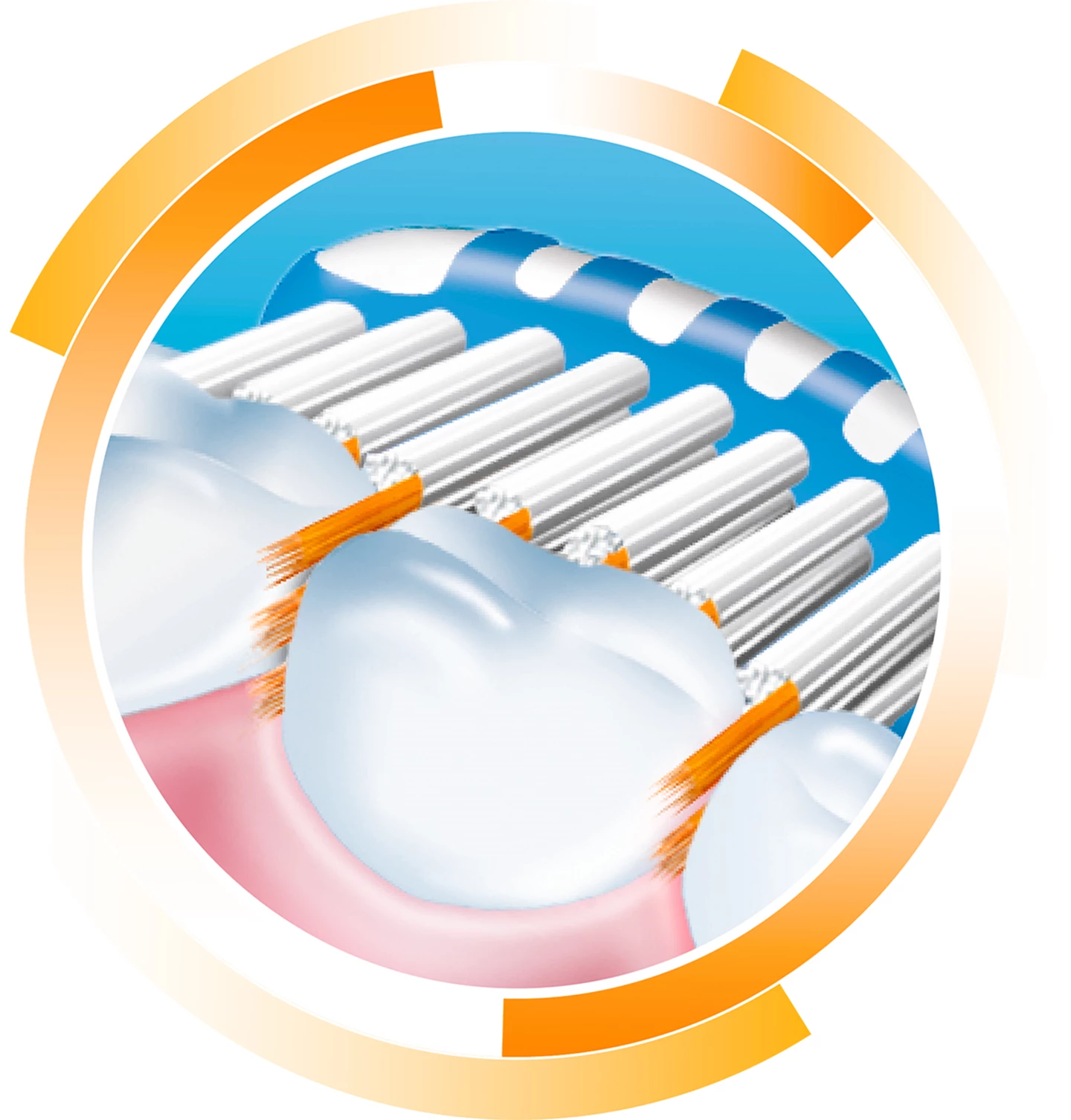 Brosse de remplacement SonicPower/Forever soft