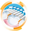 Brosse de remplacement SonicPower/Forever soft