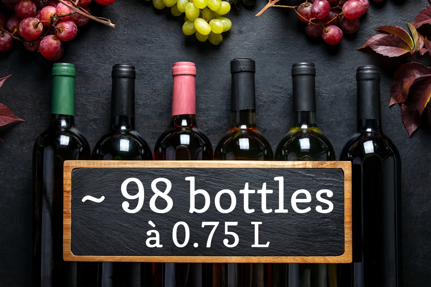 Cave à vin climatisée 291 L avec dual zone