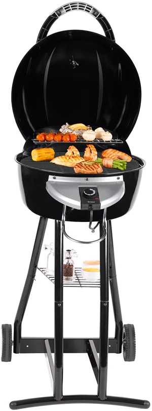 Grill elettrico 